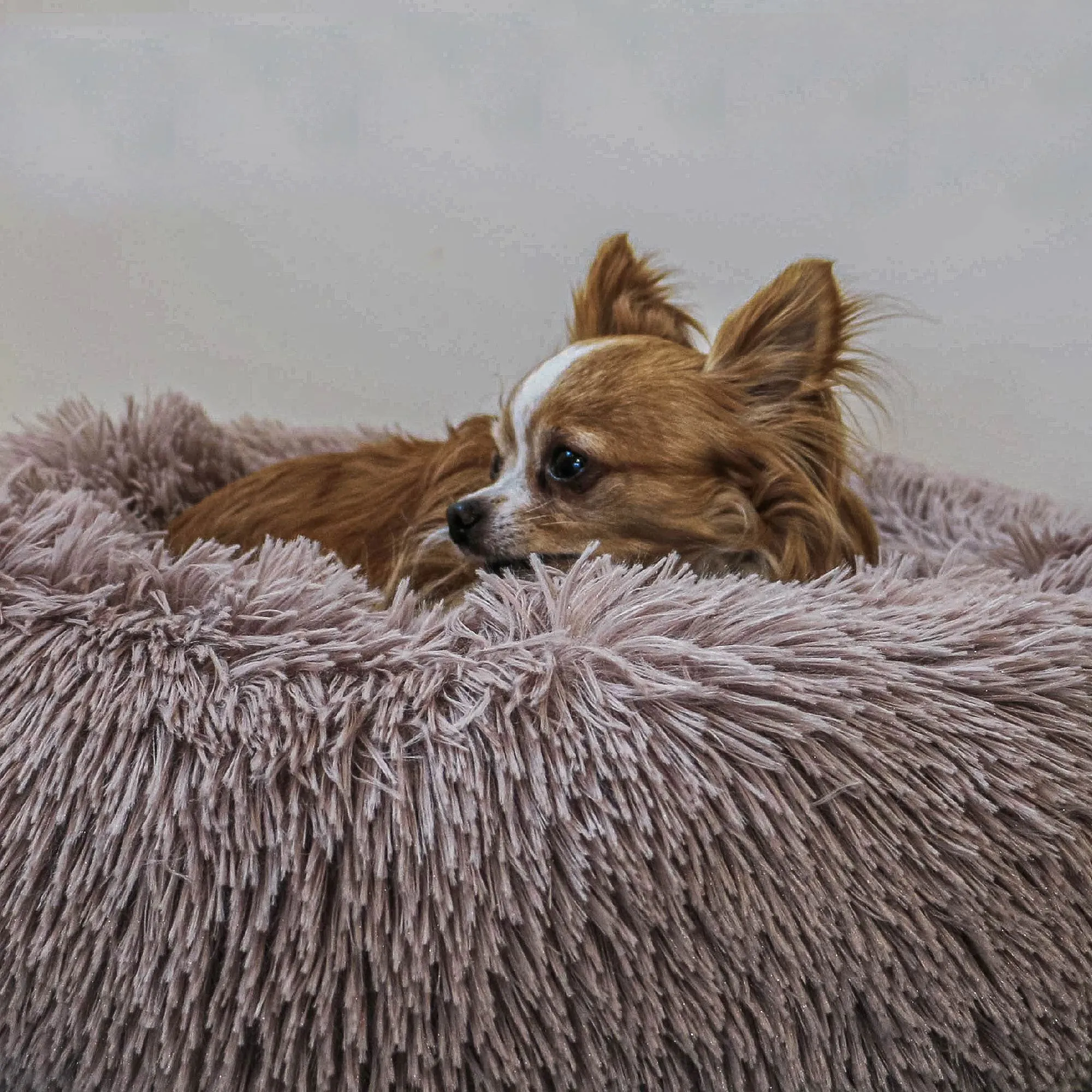 Ancol Super Plush Fluffy Donut Pet Bed