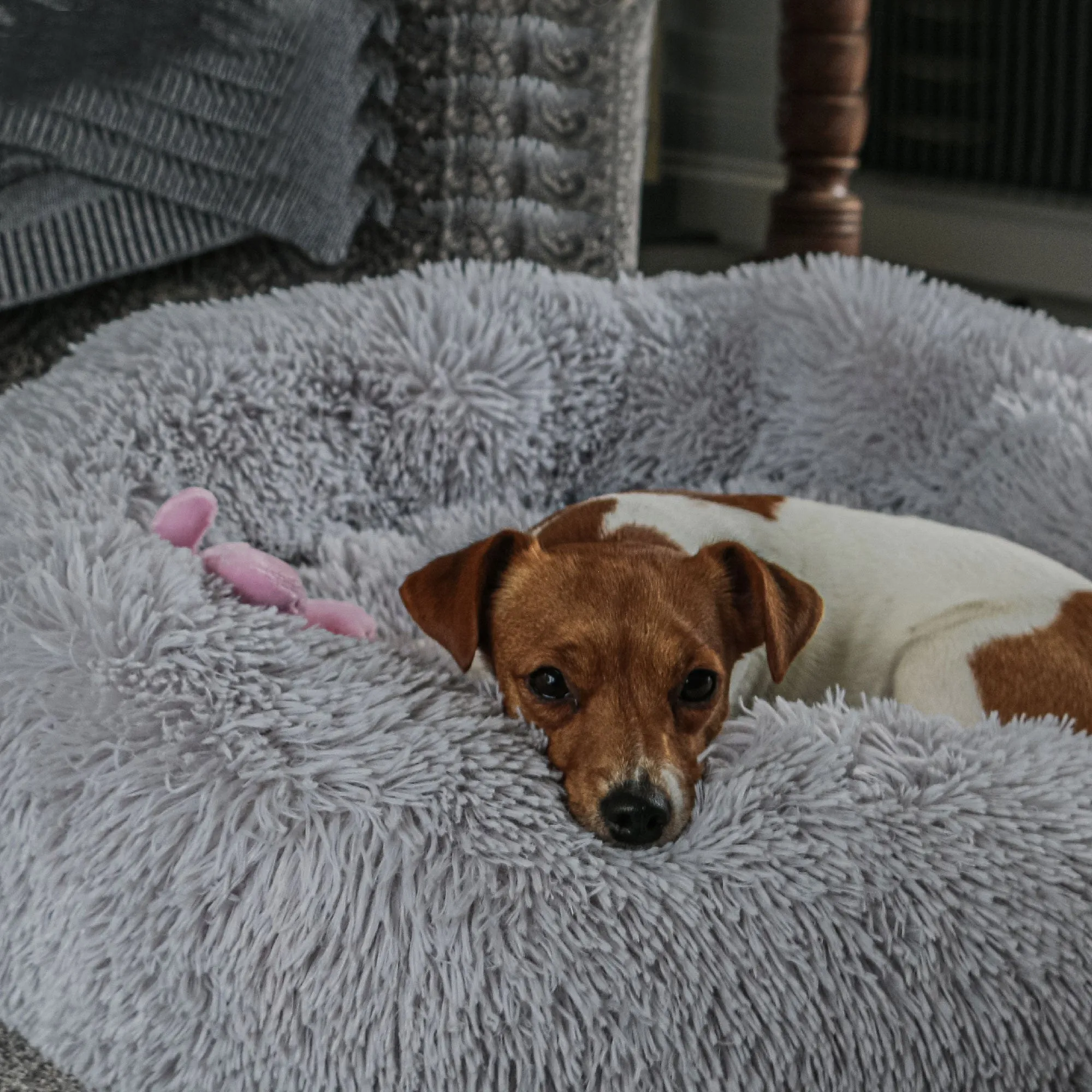 Ancol Super Plush Fluffy Donut Pet Bed