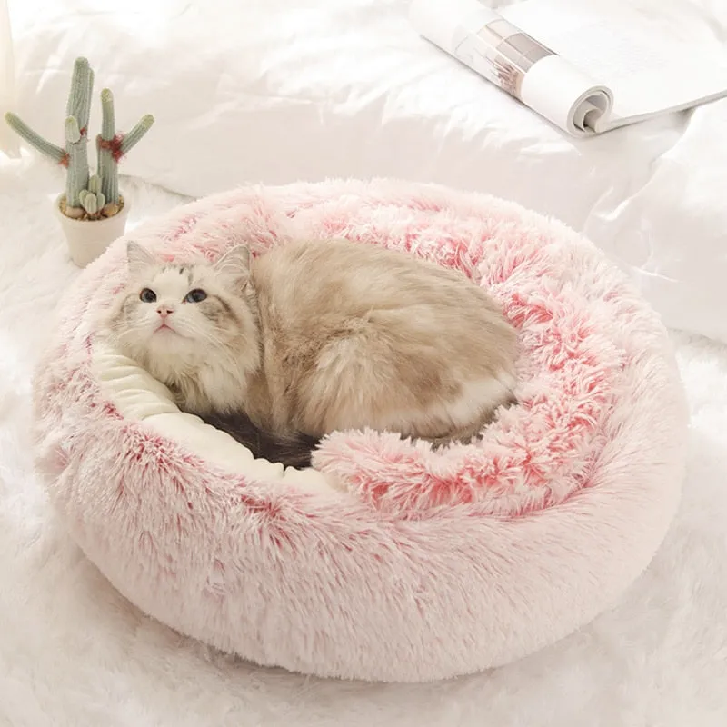 Calming Cat Cove Bed