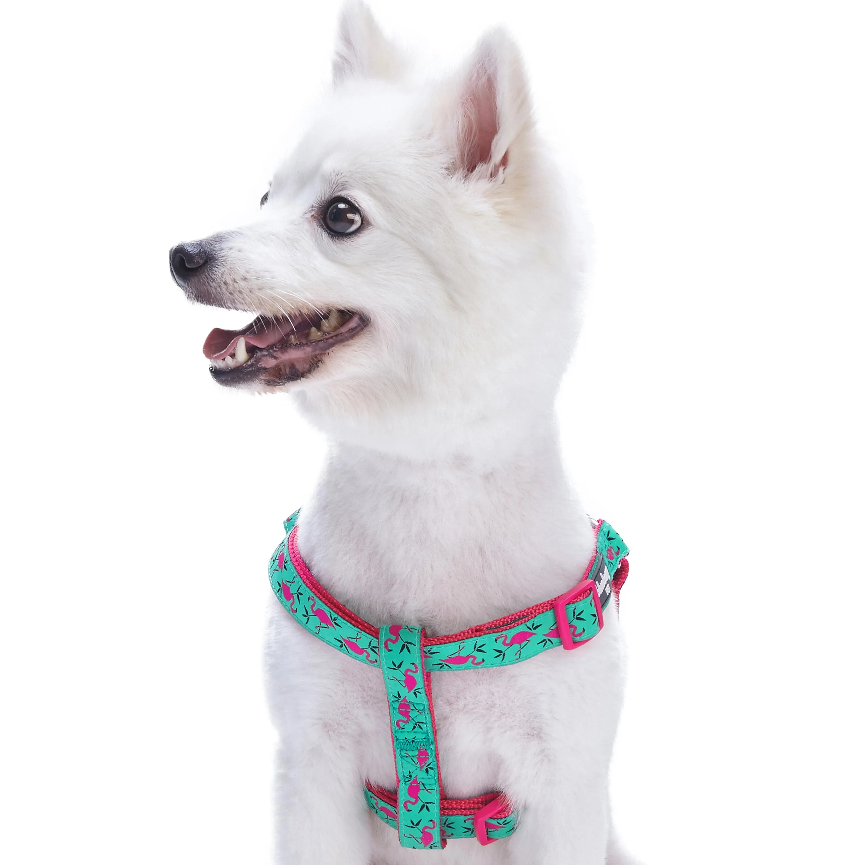 Flamingo Ladybug Dog Harness, Summer Vcation Hawaiian Plam Leaves Harness