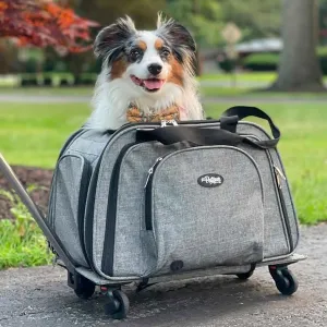 Happy Camper Pet Carrier