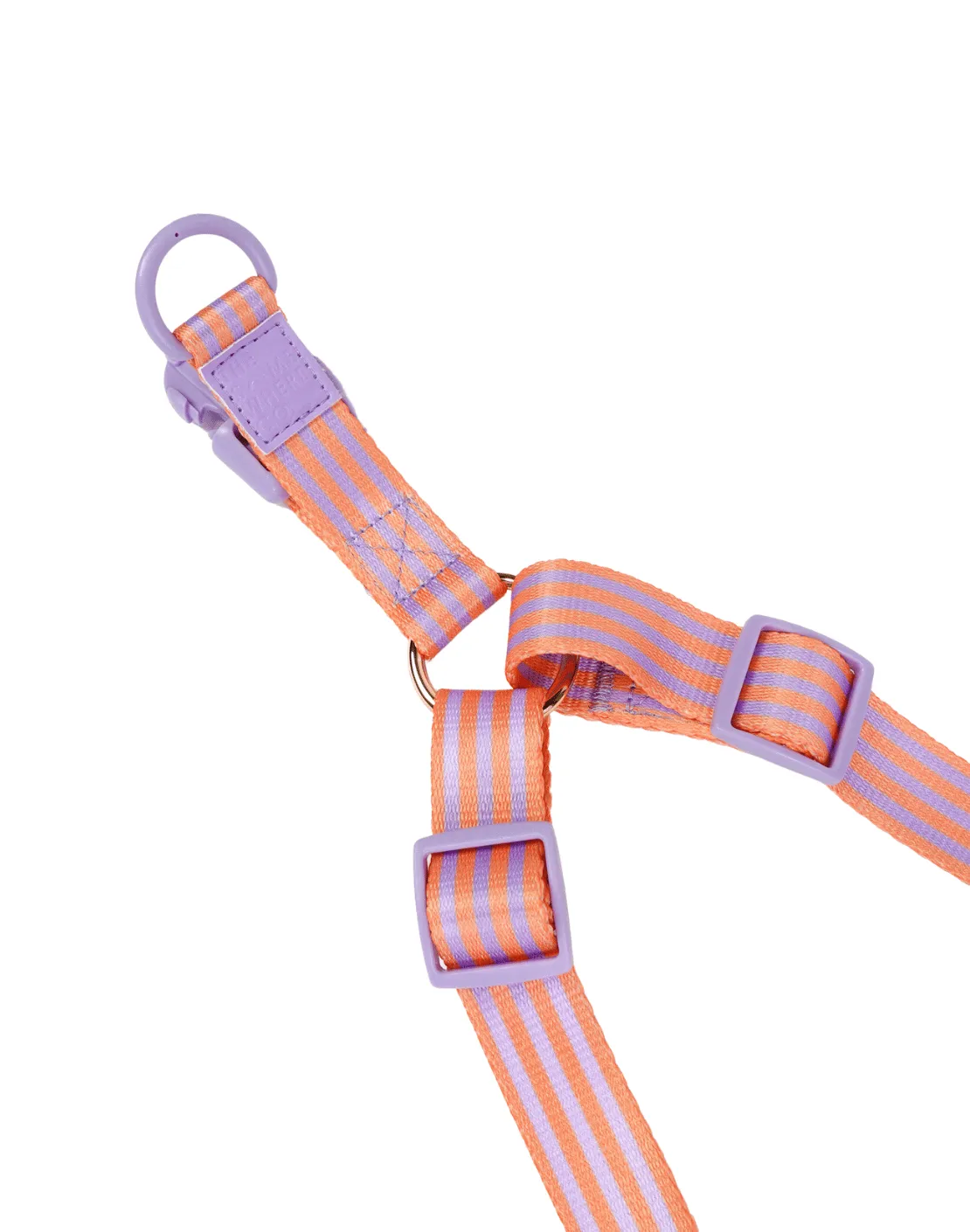 Lady Marmalade Pet Harness
