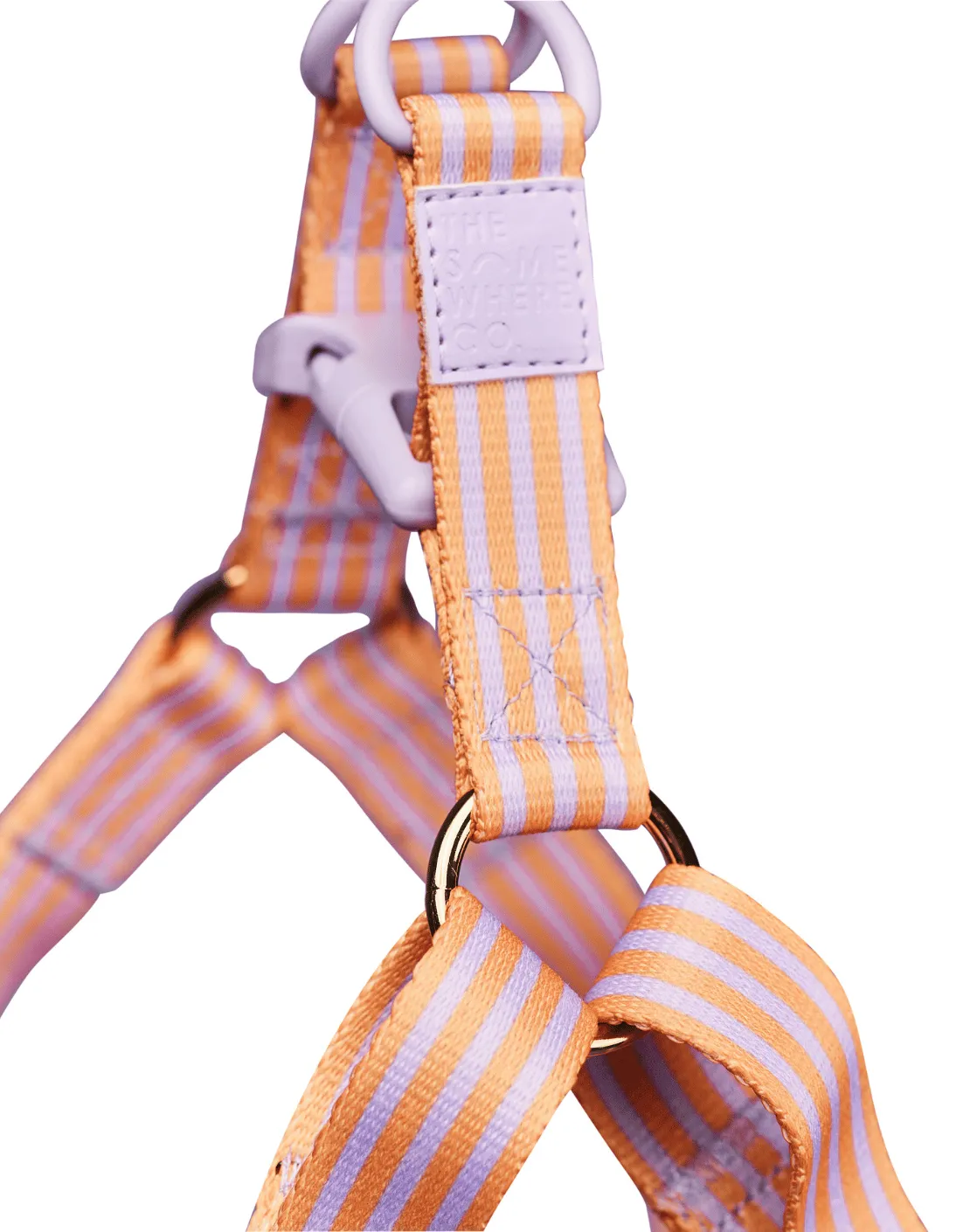Lady Marmalade Pet Harness