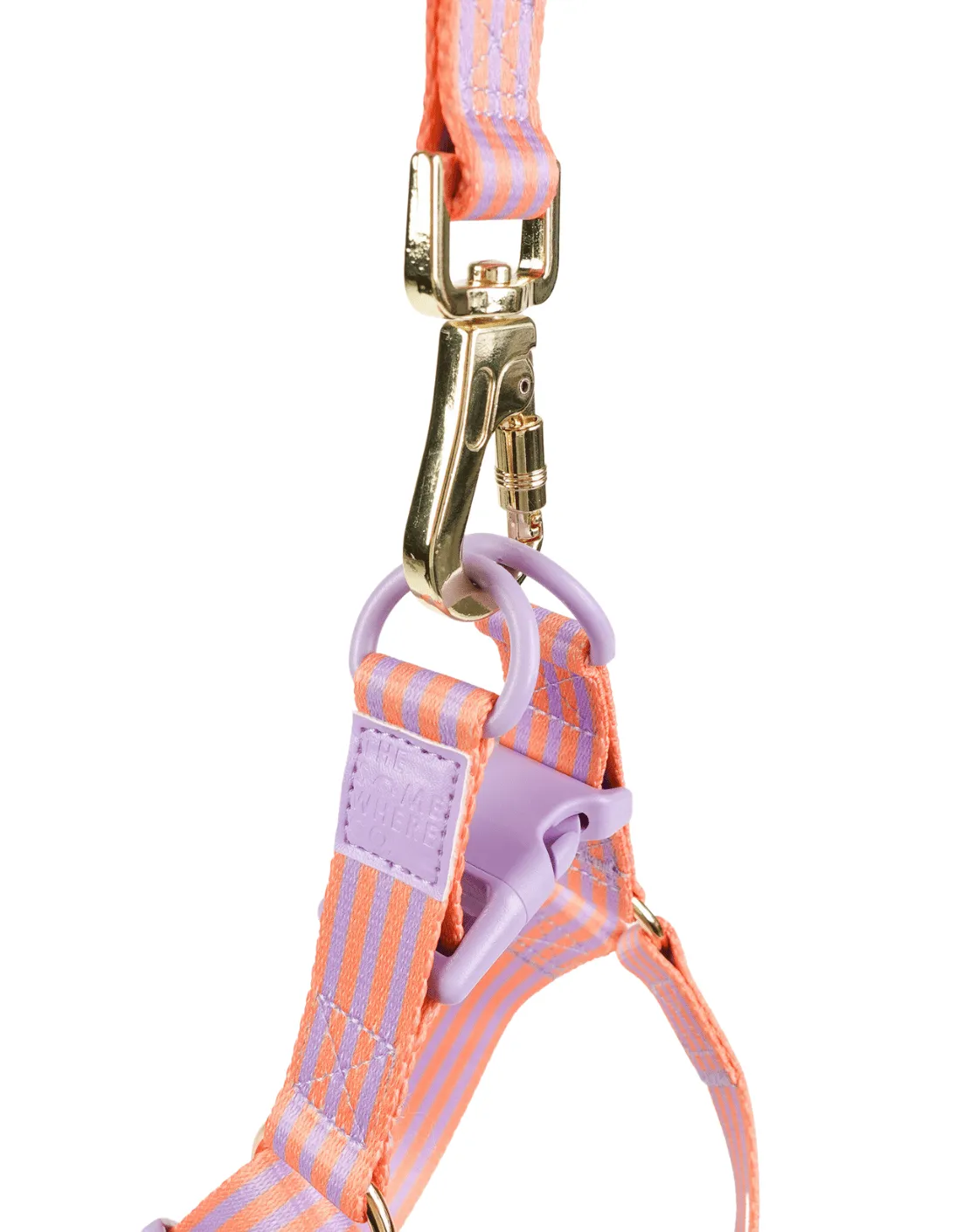 Lady Marmalade Pet Harness