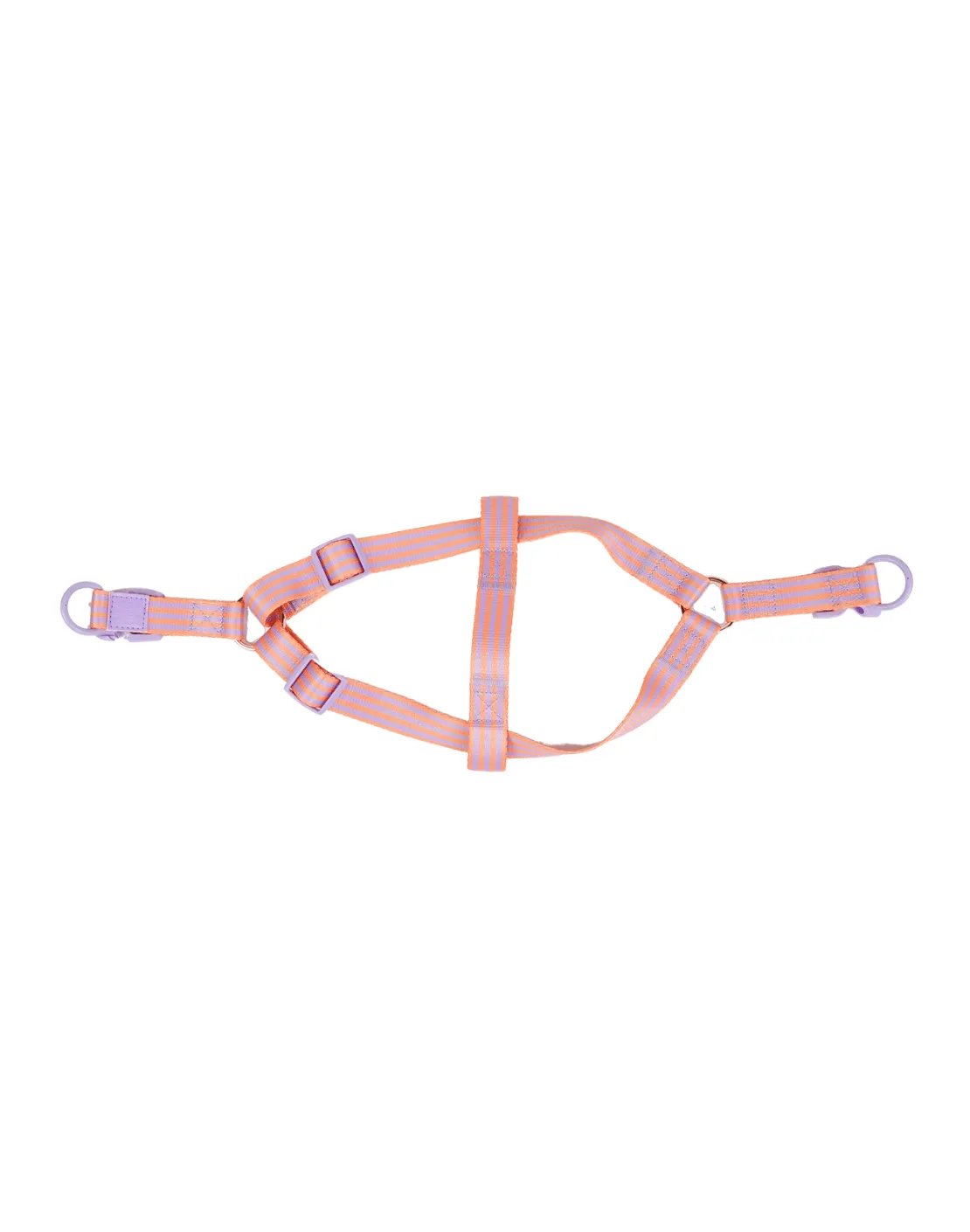 Lady Marmalade Pet Harness