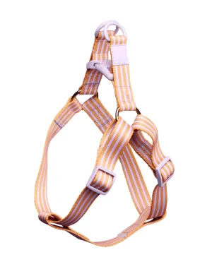 Lady Marmalade Pet Harness