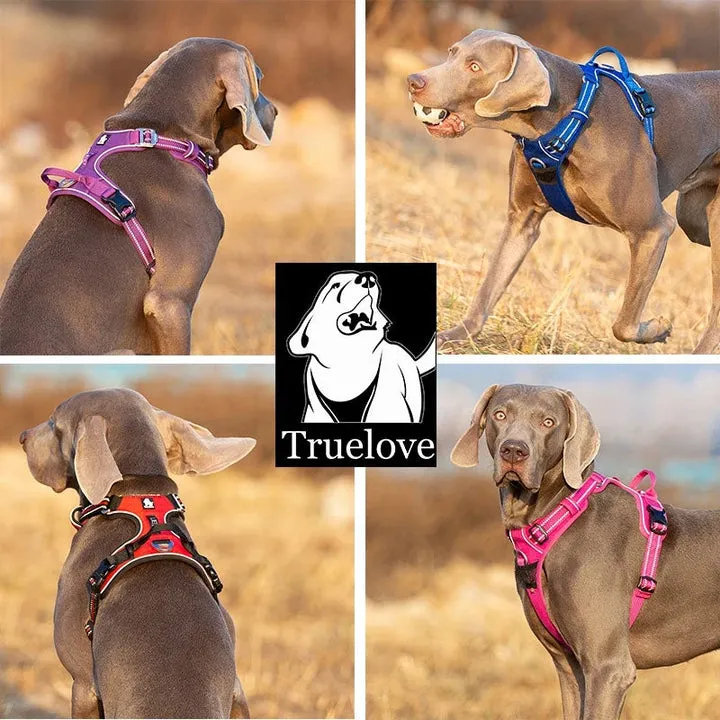 No Pull Dog Harness, Grey L, Breathable Air Mesh
