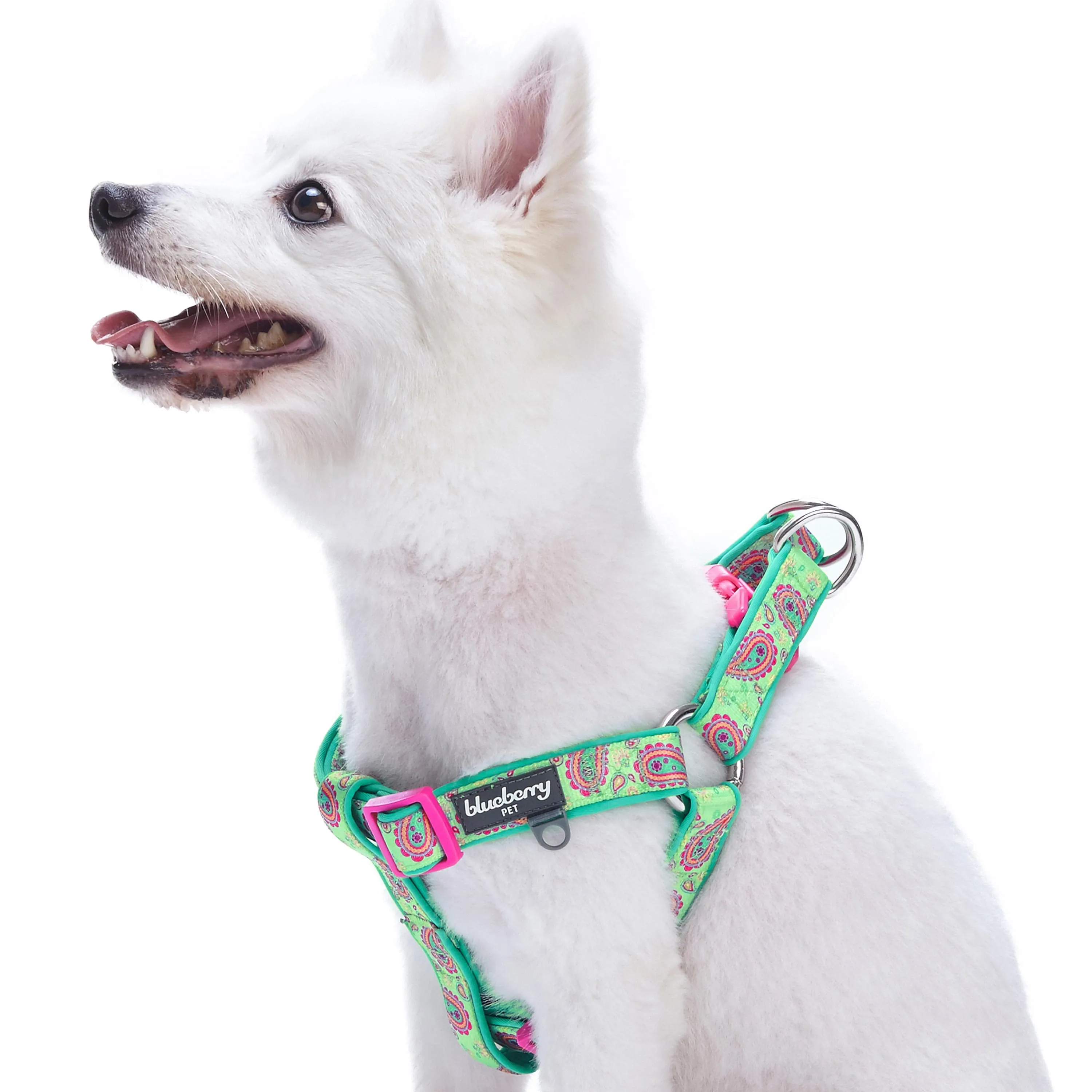 Paisley Print Padded Dog Harness