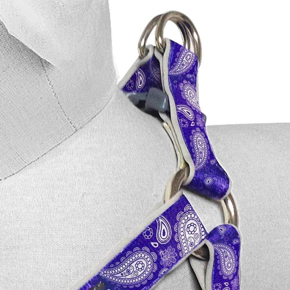 Paisley Print Padded Dog Harness
