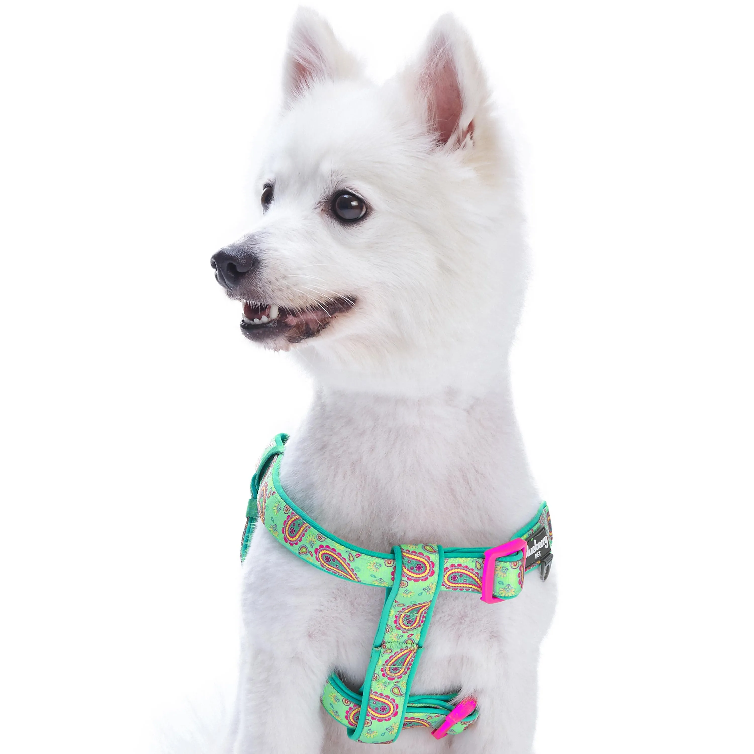 Paisley Print Padded Dog Harness