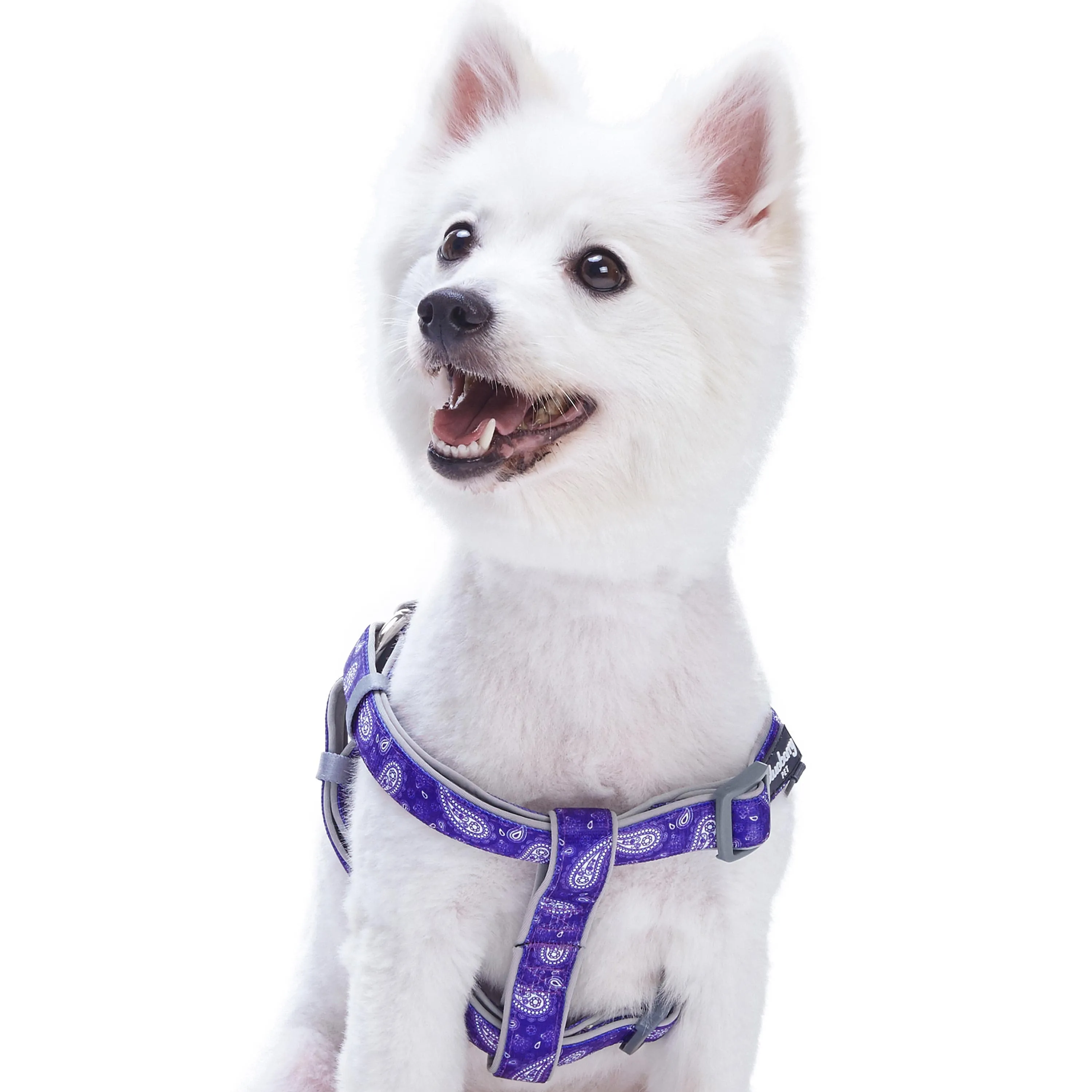 Paisley Print Padded Dog Harness