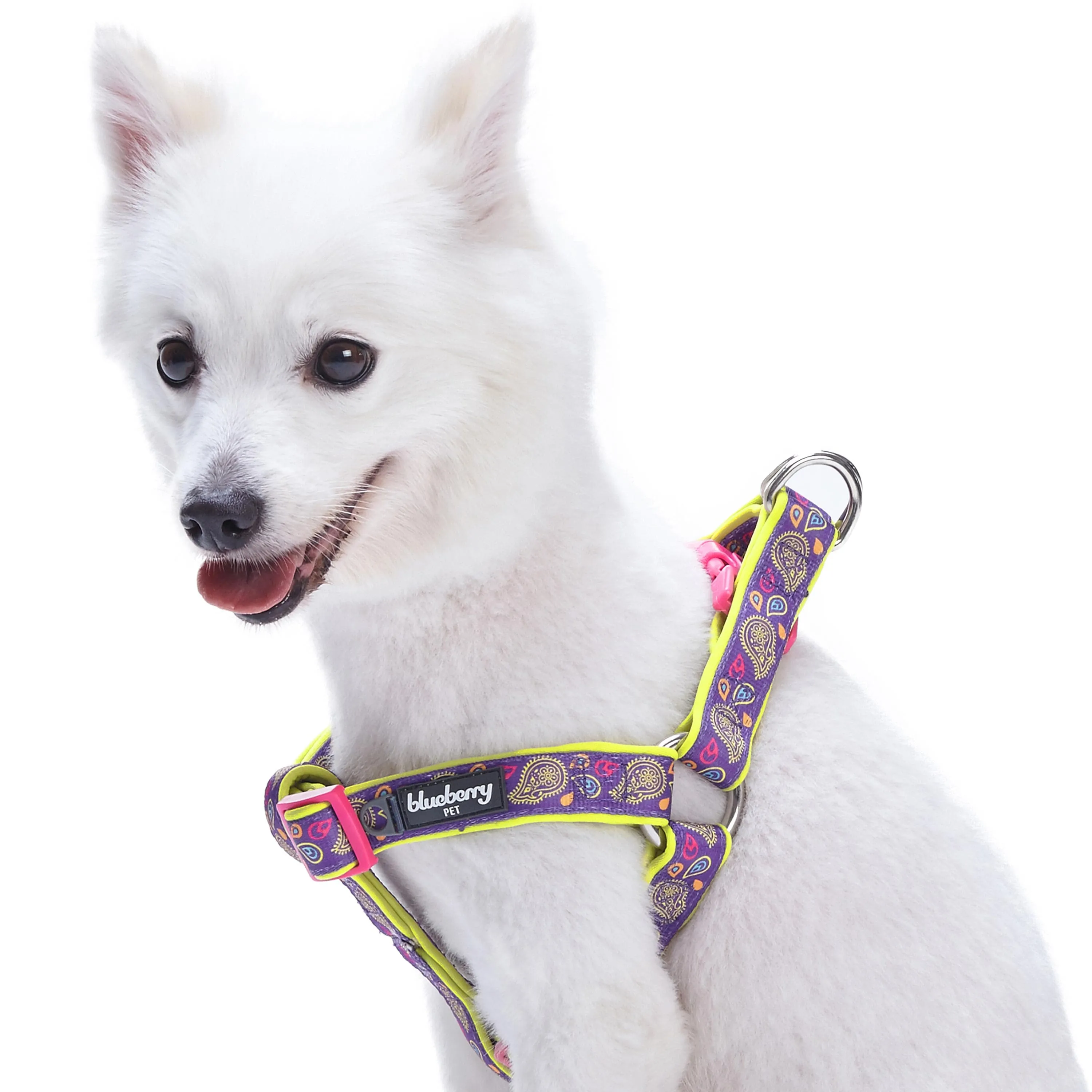 Paisley Print Padded Dog Harness