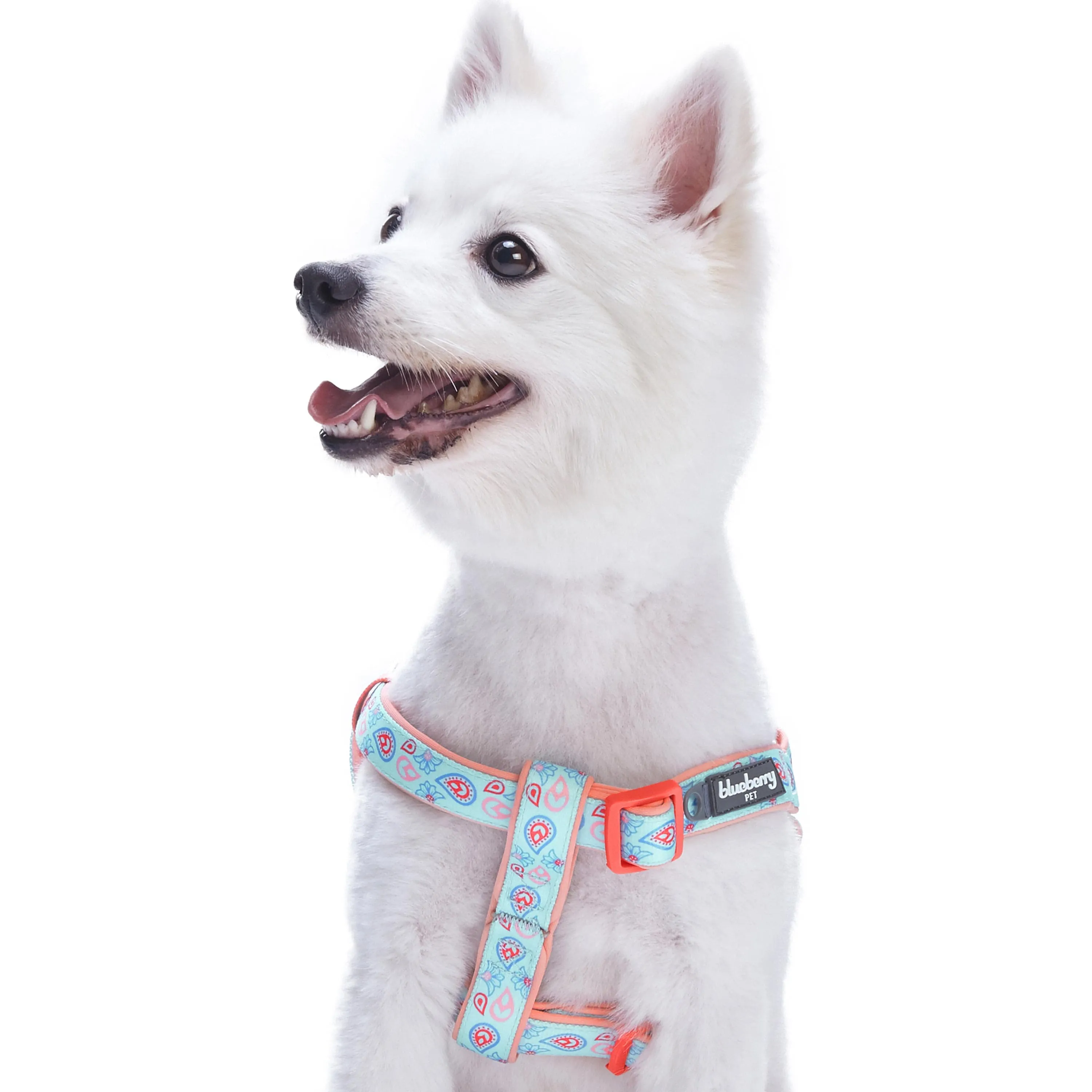 Paisley Print Padded Dog Harness