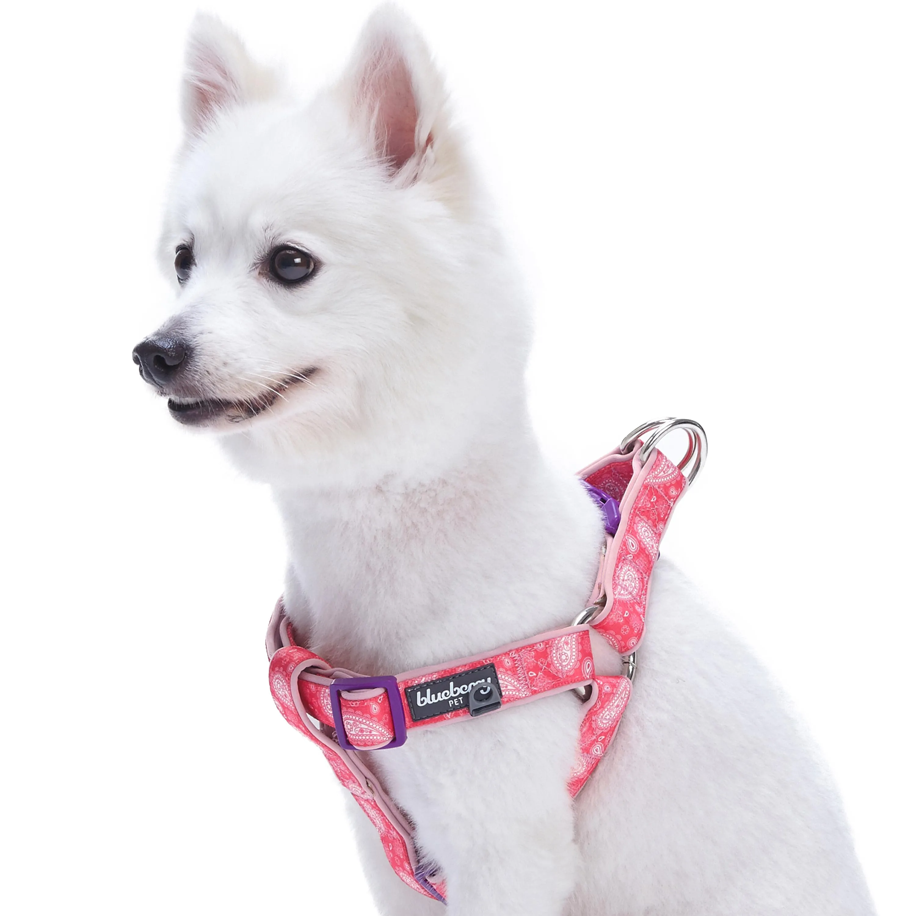 Paisley Print Padded Dog Harness
