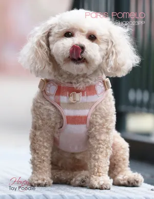 Pretty Paw Paris Pomelo